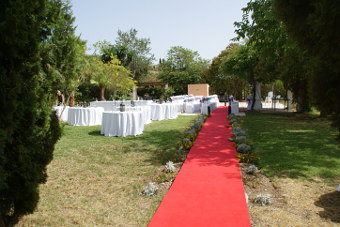 The red carpet waiting for the marriage guests to come